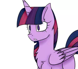 Size: 1024x907 | Tagged: safe, artist:jaidyn-fangtrap, derpibooru import, twilight sparkle, twilight sparkle (alicorn), alicorn, pony, chest fluff, female, mare, solo