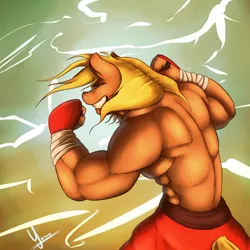 Size: 1600x1600 | Tagged: anthro, applejack, applejacked, applejack (male), arm wraps, artist:jamesjackobgermany, athletic tape, clothes, derpibooru import, fighter, muscles, pads, partial nudity, rule 63, safe, shorts, solo, topless