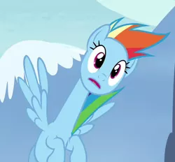 Size: 560x520 | Tagged: safe, derpibooru import, screencap, rainbow dash, pegasus, pony, testing testing 1-2-3, are you frustrated?, cropped, female, flying, great moments in animation, long neck, mare, meme, rainbow girrash, solo