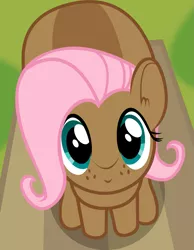 Size: 1165x1499 | Tagged: safe, artist:badumsquish, derpibooru import, part of a set, fluttershy, pony, squirrel, squirrel pony, badumsquish's kitties, female, from above, looking at you, nuttershy, sitting, smiling, solo, species swap, squirrelification