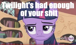 Size: 1318x792 | Tagged: safe, derpibooru import, twilight sparkle, twilight sparkle (alicorn), alicorn, pony, annoyed, caption, image macro, meme, text, unamused, vulgar