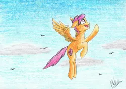 Size: 3081x2191 | Tagged: artist:hovel, bird, cloud, cutie mark, derpibooru import, flying, safe, scootaloo, scootaloo can fly, solo, the cmc's cutie marks, traditional art