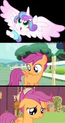 Size: 1083x2048 | Tagged: chinese text, derpibooru import, flight to the finish, flurry heart vs scootaloo, princess flurry heart, sad, safe, scootaloo, scootaloo can't fly, screencap