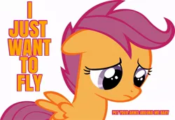 Size: 900x620 | Tagged: caption, derpibooru import, fly, image macro, insect, meme, orange text, sad, safe, scootaloo, scootaloo can't fly, solo, song reference, sugar ray, text