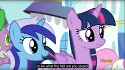 Size: 960x540 | Tagged: safe, derpibooru import, edit, edited screencap, screencap, minuette, spike, twilight sparkle, twilight sparkle (alicorn), twinkleshine, alicorn, pony, amending fences, caption, female, mare, meme, vulgar, youtube caption