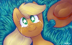 Size: 3840x2400 | Tagged: safe, artist:inkblu, derpibooru import, applejack, applejack's parents, crying, grass, on back, smiling, solo, starry eyes, wingding eyes