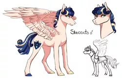 Size: 1175x762 | Tagged: safe, artist:zetapold, derpibooru import, oc, oc:staccato, oc:staccato dell'amore, unofficial characters only, pegasus, pony, curly hair, male, offspring, parent:princess cadance, parent:shining armor, parents:shiningcadance, reference sheet, stallion, standing