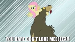 Size: 1080x608 | Tagged: bear, derpibooru import, edit, edited screencap, fluttershy, harry, lesson zero, screencap, semi-grimdark, violence, you're going to love me