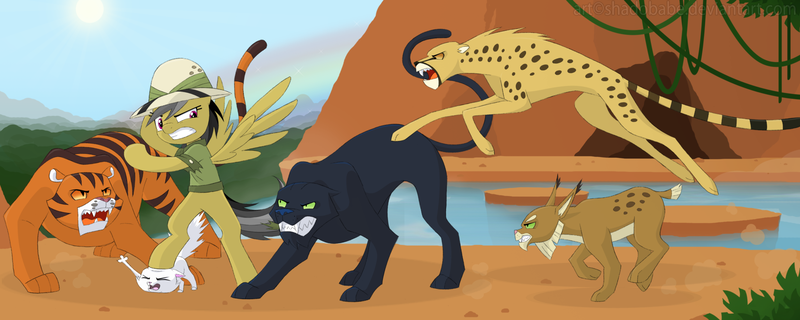 Size: 2000x800 | Tagged: safe, artist:shadobabe, derpibooru import, daring do, big cat, cat, cheetah, lynx, panther, pegasus, pony, tiger, ahuizotl's cats, animal, clothes, female, fight, hat, kitten, mare, pith helmet, sun