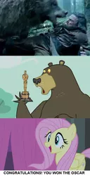 Size: 498x969 | Tagged: alejandro gonzález iñárritu, bear, derpibooru import, fluttershy, harry, hilarious in hindsight, leonardo dicaprio, meme, oscar, oscars, safe, the revenant