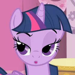 Size: 405x405 | Tagged: safe, derpibooru import, screencap, twilight sparkle, twilight sparkle (alicorn), alicorn, pony, simple ways, female, lidded eyes, mare, so?