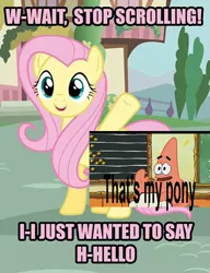 Size: 461x600 | Tagged: derpibooru import, fluttershy, meme, new student starfish, patrick star, safe, spongebob squarepants, that's my pony, that's my x