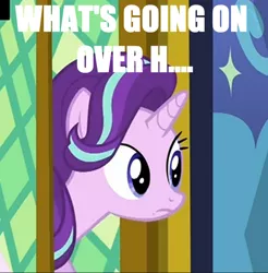 Size: 582x592 | Tagged: caption, derpibooru import, edit, frown, image macro, meme, reaction image, safe, screencap, shocked, solo, starlight glimmer, text, text edit, the crystalling, what's going on in this thread, wide eyes