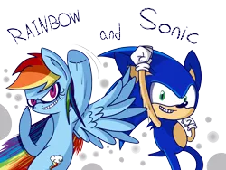 Size: 6000x4500 | Tagged: absurd resolution, artist:extradan, crossover, derpibooru import, rainbow dash, safe, simple background, sonic the hedgehog, sonic the hedgehog (series), transparent background