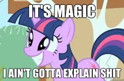 Size: 625x409 | Tagged: safe, derpibooru import, screencap, twilight sparkle, pony, the cutie mark chronicles, caption, grin, image macro, it's magic, meme, smiling, solo, squee, text, vulgar