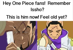 Size: 2039x1401 | Tagged: artist:causticeichor, crossover, derpibooru import, feel old yet?, fujitora, issho, meme, one piece, safe, text