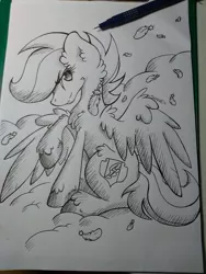 Size: 1024x1365 | Tagged: artist:rainbowshine94, chest fluff, cutie mark, derpibooru import, ear fluff, monochrome, safe, scootaloo, solo, the cmc's cutie marks, traditional art, unshorn fetlocks