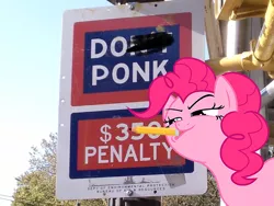 Size: 600x451 | Tagged: safe, artist:darknisfan1995, artist:pre10, derpibooru import, pinkie pie, earth pony, pony, 8^y, female, fuck the police, glare, irl, mare, mouth hold, pencil, photo, ponies in real life, ponk, sign, smiling, smirk, solo, vandalism, vector