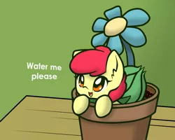 Size: 750x600 | Tagged: adorabloom, apple bloom, artist:arielsbx, bulb, bulbasaur, crossover, cute, derpibooru import, flower, flower pot, pokémon, safe, solo, tiny