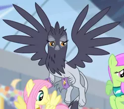Size: 524x460 | Tagged: safe, derpibooru import, screencap, fluttershy, giselle, irma, merry may, gryphon, equestria games (episode), background griffon, cropped, equestria games, flying, solo focus, spread wings, wings, wristband