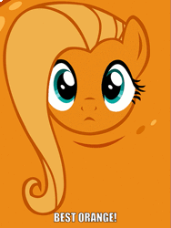 Size: 477x634 | Tagged: animated, artist:hendro107, caption, derpibooru import, flutterrange, fluttershy, food, image macro, inanimate tf, meme, orange, orangified, safe, solo, text, transformation, vibrating, what about discord?