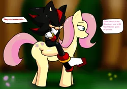 Size: 1696x1196 | Tagged: artist:soul-yagami64, crossover, derpibooru import, fluttershy, safe, sega, shadow the hedgehog, sonic the hedgehog (series), video game