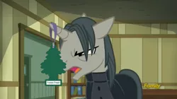 Size: 1664x930 | Tagged: a hearth's warming tail, air freshener, derpibooru import, discovery family logo, edit, professor flintheart, safe, screencap, severus snape, solo