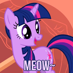 Size: 481x481 | Tagged: safe, derpibooru import, edit, edited screencap, screencap, twilight sparkle, pony, unicorn, owl's well that ends well, animated, behaving like a cat, caption, cute, female, grin, image macro, mare, meme, meow, open mouth, smiling, solo, text, tilde, twilight cat