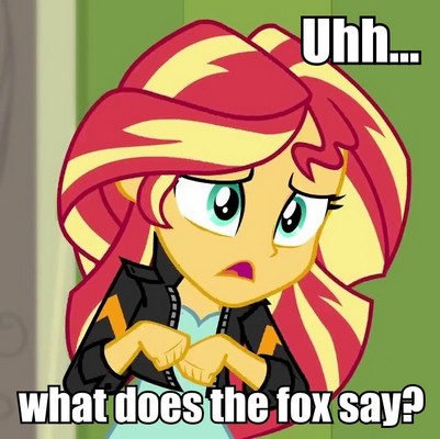 Size: 401x400 | Tagged: safe, derpibooru import, sunset shimmer, equestria girls, animal noises, caption, image macro, meme, text, what does the fox say?