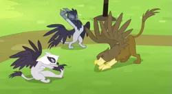 Size: 549x300 | Tagged: safe, derpibooru import, screencap, gaston (griffon), giselle, irma, natalya, gryphon, rainbow falls, background griffon, griffon team, stretching, trio