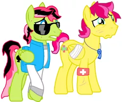 Size: 765x644 | Tagged: safe, artist:thefanficfanpony, derpibooru import, oc, oc:ace, unofficial characters only, pegasus, pony, flutter brutter, bandage, bandaged wing, clothes, duo, fluttershy's brother (fanon), harsher in hindsight, jacket, male, simple background, stallion, sunglasses, white background, wings