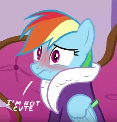 Size: 404x421 | Tagged: safe, derpibooru import, edit, edited screencap, screencap, rainbow dash, applejack's "day" off, bathrobe, blatant lies, blushing, caption, clothes, cute, dashabetes, denial, i'm not cute, rainbow dash always dresses in style, rainbow dash is best facemaker, robe, solo, tsunderainbow, tsundere