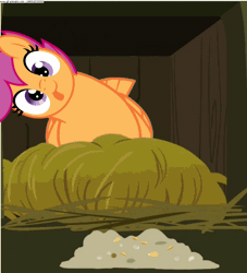 Size: 1101x1213 | Tagged: safe, artist:2014mlpannon, derpibooru import, edit, scootaloo, bird, chicken, applejack's "day" off, :p, animated, cute, cutealoo, loop, scootachicken, silly, solo, tongue out