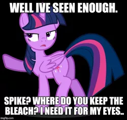 Size: 528x499 | Tagged: semi-grimdark, derpibooru import, twilight sparkle, twilight sparkle (alicorn), alicorn, pony, brain bleach, butt, caption, image macro, meme, plot, reaction image, solo, text