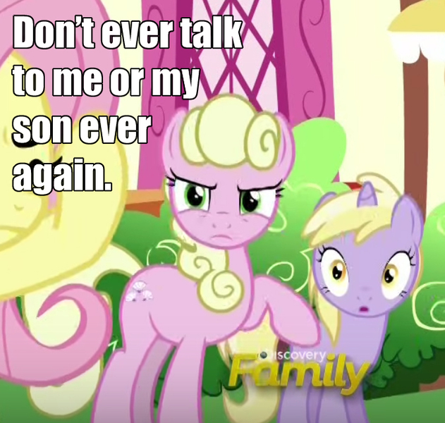 Size: 674x641 | Tagged: caption, cropped, derpibooru import, dinky hooves, discovery family logo, don't talk to me or my son ever again, edit, edited screencap, exploitable meme, flutter brutter, image macro, meme, millie, peeved, safe, screencap, text