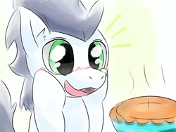 Size: 1400x1050 | Tagged: safe, artist:gamijack, derpibooru import, soarin', pony, blushing, cute, food, open mouth, pie, soarinbetes, solo, that pony sure does love pies