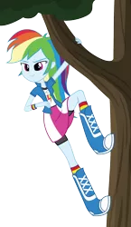 Size: 1000x1724 | Tagged: safe, artist:famousmari5, derpibooru import, rainbow dash, equestria girls, friendship games, pinkie spy (short), boots, clothes, compression shorts, hanging, shoes, shorts, simple background, skirt, skirt lift, socks, solo, spying, transparent background, tree, vector, wristband