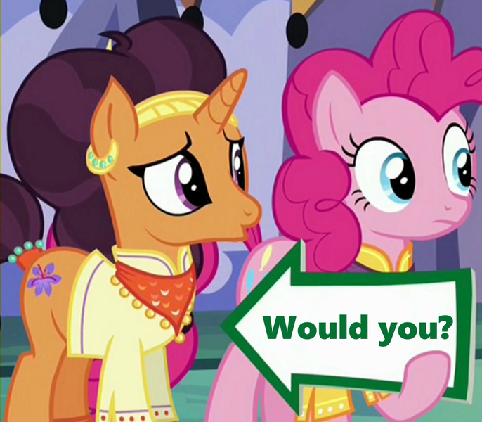 Size: 941x823 | Tagged: derpibooru import, edit, edited screencap, exploitable meme, i'm with stupid, meme, pinkie pie, pinkie pie's sign, safe, saffron masala, screencap, spice up your life