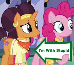 Size: 941x823 | Tagged: derpibooru import, edit, edited screencap, exploitable meme, i'm with stupid, meme, pinkie pie, pinkie pie's sign, safe, saffron masala, screencap, spice up your life