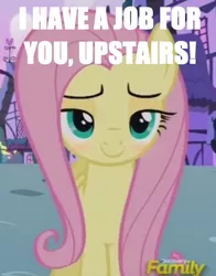 Size: 490x624 | Tagged: bedroom eyes, blushing, caption, derpibooru import, edit, edited screencap, flutter brutter, fluttershy, i'll be waiting for you upstairs, image macro, meme, safe, screencap, smugshy, text