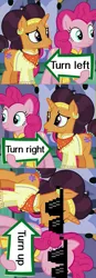 Size: 471x1361 | Tagged: clever, deal with it, derpibooru import, edit, edited screencap, exploitable meme, meme, pinkie pie, pinkie pie's sign, safe, saffron masala, screencap, spice up your life