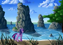 Size: 1200x848 | Tagged: safe, artist:ailynd, derpibooru import, twilight sparkle, twilight sparkle (alicorn), alicorn, pony, beach, lake, rock, scenery, solo, tree