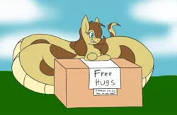 Size: 1280x837 | Tagged: artist:metalaura, derpibooru import, eyelashes, female, fluffy, free hugs, grin, hair over one eye, imma snuggle you, it's a trap, lamia, looking at you, oc, oc:hissyfit, original species, safe, sign, smiling, snake, snek, solo, unofficial characters only