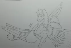Size: 3753x2505 | Tagged: safe, artist:gabriel-titanfeather, derpibooru import, oc, oc:gabriel titanfeather, oc:ki'ieran, unofficial characters only, pegasus, pony, adorable face, behaving like a bird, cuddling, cute, grayscale, grooming, impossibly large wings, large wings, monochrome, onomatopoeia, pencil drawing, preening, smiling, snuggling, traditional art, wings