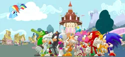 Size: 1024x469 | Tagged: amy rose, blaze the cat, chao, cheese chao, cloud, cream the rabbit, crossover, derpibooru import, knuckles the echidna, miles "tails" prower, ponyville, rainbow dash, rouge the bat, safe, shadow the hedgehog, silver the hedgehog, sonic the hedgehog, sonic the hedgehog (series), vector the crocodile