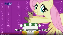 Size: 1271x720 | Tagged: artist:deadlycomics, caption, derpibooru import, fluttershy, may the best pet win, perhaps i won a pet!, safe, screencap, squirrel, youtube