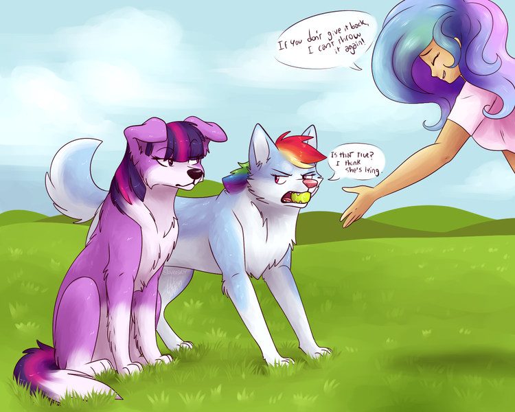 Size: 1280x1024 | Tagged: :<, artist:fizzy-dog, border collie, cute, derpibooru import, dialogue, dog, dogified, doubt, eyes closed, fetch, floppy ears, fluffy, frown, glare, grass, grass field, grin, human, humanized, husky, littlest pet shop, parody, princess celestia, rainbow dash, rainbow dog, raised eyebrow, safe, scenery, sitting, smiling, species swap, tennis ball, twilight barkle, twilight sparkle, zoe trent