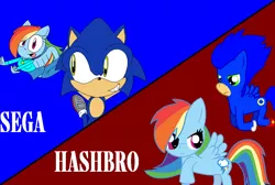 Size: 865x581 | Tagged: safe, artist:pinksonic42, derpibooru import, rainbow dash, ponified, anthro, pony, crossover, misspelling, sonic the hedgehog, sonic the hedgehog (series), sonicified