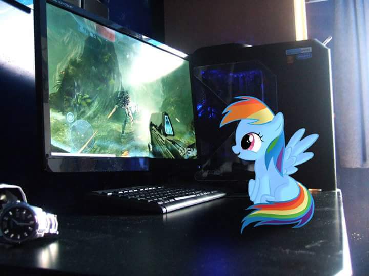 Size: 720x540 | Tagged: safe, derpibooru import, rainbow dash, pony, computer, female, filly, filly rainbow dash, halo (series), ign, irl, monitor, photo, ponies in real life, younger