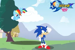 Size: 900x600 | Tagged: artist:trungtranhaitrung, cloud, crossover, derpibooru import, hasbro, logo, ponyville, rainbow dash, safe, sega, sonic the hedgehog, sonic the hedgehog (series), tree